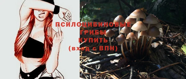jwh Горно-Алтайск